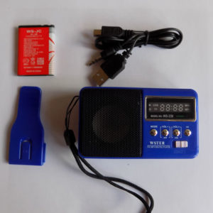 Цифровой мини FM радиоприемник WSTER WS-239 с USB, micro SD картридером